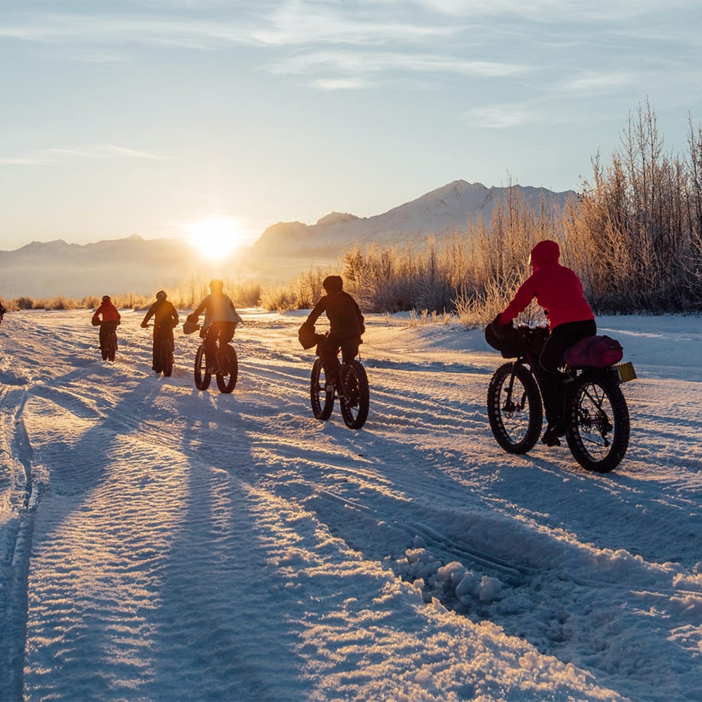 trek fat bike