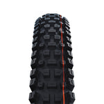 Schwalbe Albert Gravity Pro 29 Evolution Ultra Soft TLR E-50 MTB Tyre