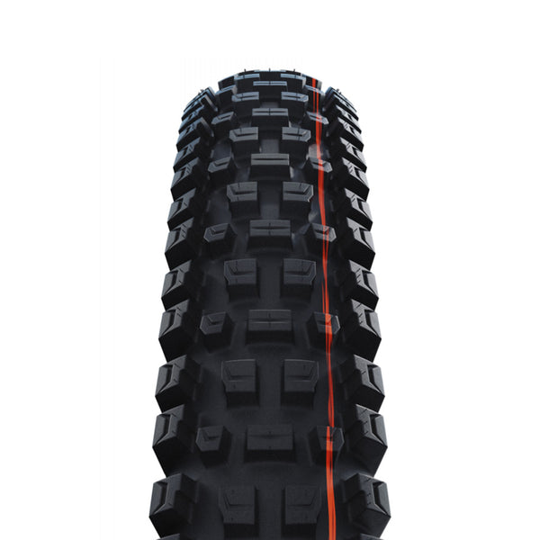 Schwalbe Albert Gravity Pro 29 Evolution Soft TLR E-50 MTB Tyre