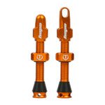 Hope Tubeless Valves - Pair