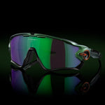 Oakley Jawbreaker Ascend Collection Sunglasses